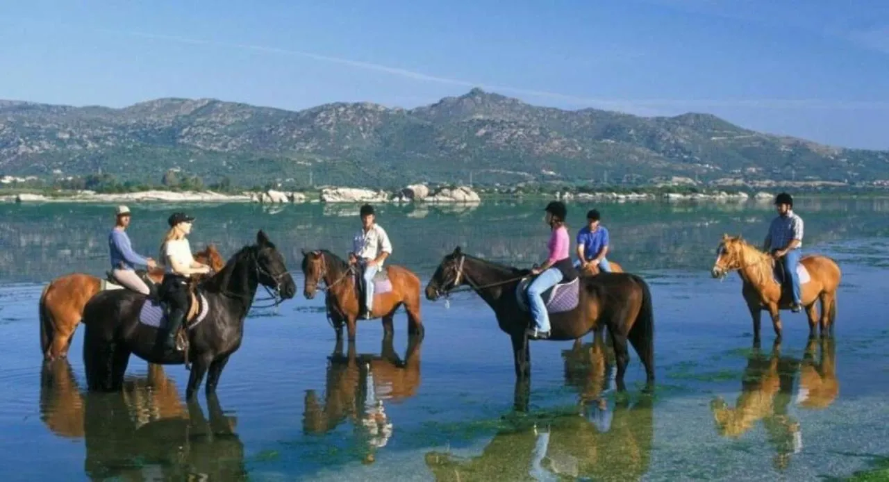 Appartamento Villetta la Perla - 779492 San Teodoro